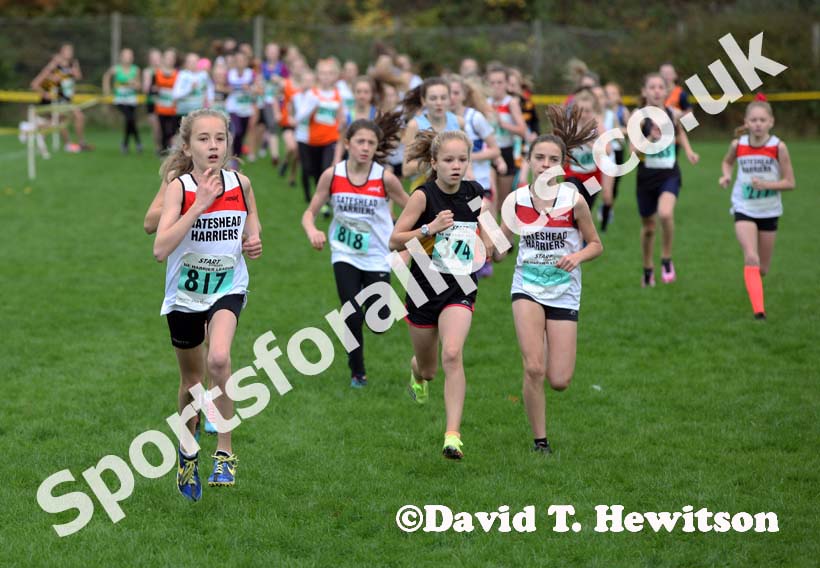 under-13 girls winner North East Harrier League, Blaydon. Photo: David T. Hewitson/Sports for All Pics